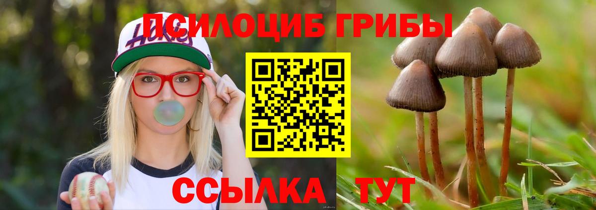 Псилоцибиновые грибы ЛСД Мытищи