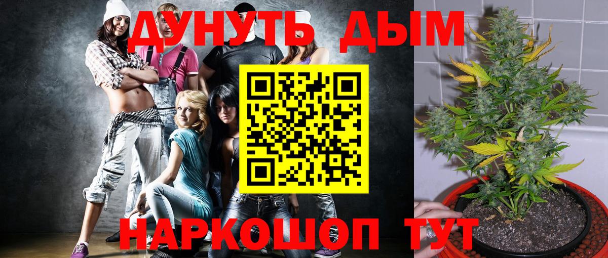Каннабис план  Вход с VPN  Каннабис план  Канабис SATIVA & INDICA  МАРИХУАНА сатива  Мытищи 